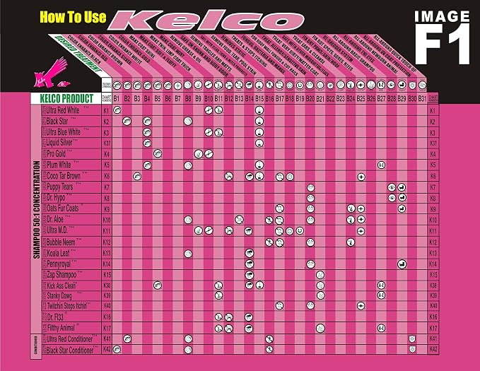 Kelco KE300912 Dr. Fl33 50:1 Shampoo, 11.7oz