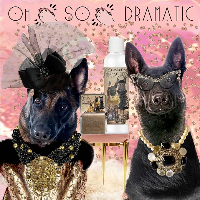 The Blissful Dog Belgian Malinois Drama Queen Dog Shampoo, 16 oz.