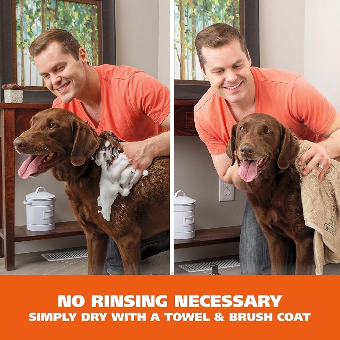 Wahl USA Pet Friendly Waterless No Rinse Shampoo for Animals - Coconut Lime Verbena Scent – Oatmeal Formula Cleans, Conditions, Detangles & Moisturizes Dogs Fur – 7.1 Oz - Model 820015A