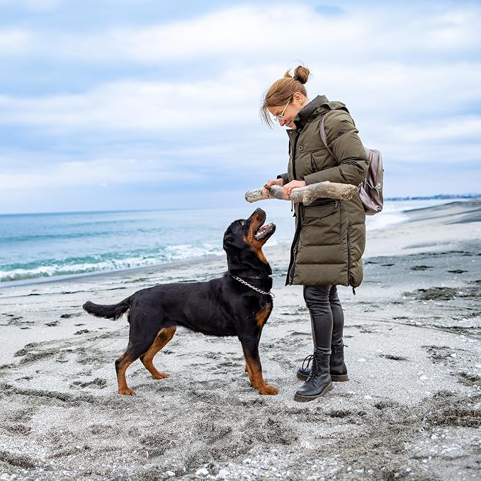 Dog Soothing Dry Shampoo with Probiotics, Helps Refresh Coat Between Baths