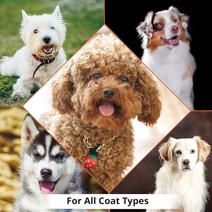 210mL Waterless Oatmeal Dog Shampoo