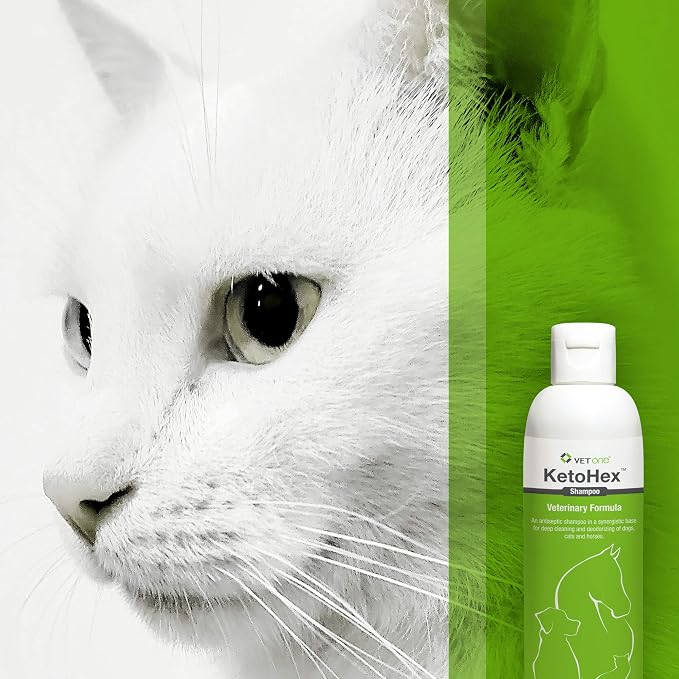 Vet One Shampoo, 8 oz