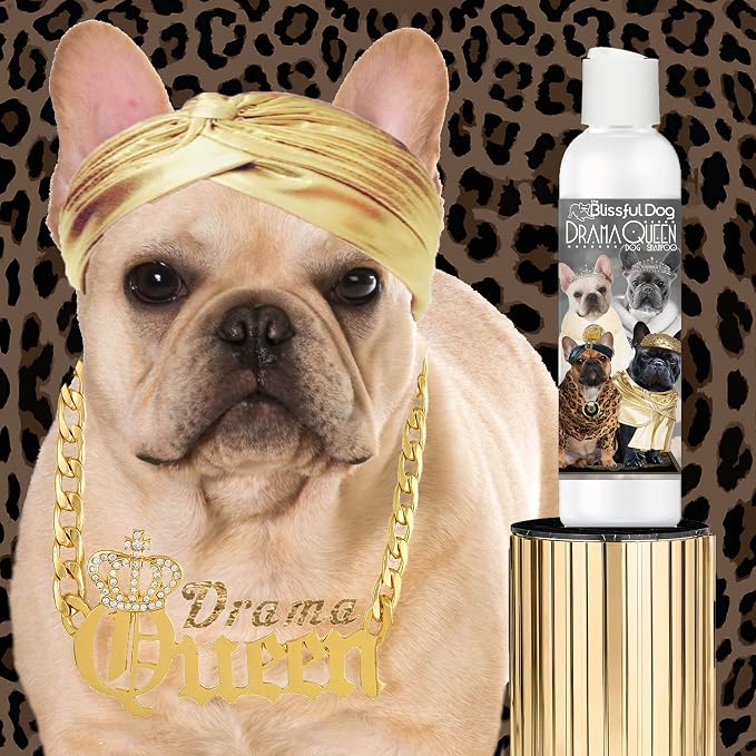 The Blissful Dog French Bulldog Drama Queen Dog Shampoo, 16 oz.