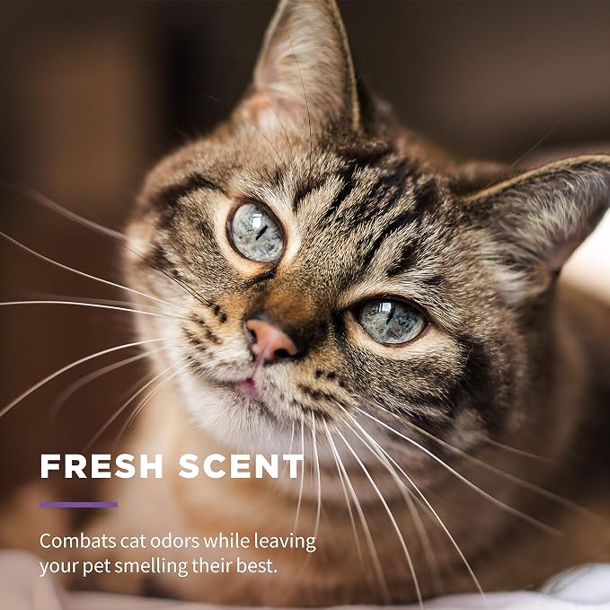 Wet Ones for Pets Freshening Multipurpose Wipes for Cats With Aloe Vera, 100 ct - 3 Pack | Easy to Use Cat Cleaning Wipes, Freshening Cat Grooming Wipes for Pet Grooming in Fresh Scent| Cat Wipes