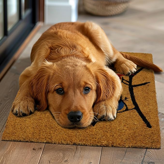 Croft&Cane Welcome Birds Coir Doormat – Non Slip Natural Coco Coir Door Mat - Low Profile Vinyl Backed Front Doormat - Indoor Outdoor Entryway Rug - 17 x 30 Inches