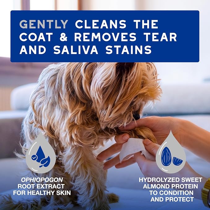 DOUXO SPA Dog Wipes for Paws, Butts, Tear Stains and General Cleaning, 100 Wipes, Multi-Purpose for Coat and Paws, Leaves the Coat and Skin Refreshed, Skin-Friendly Formula, Can Also be Used for Cats