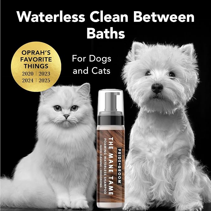 Pride and Groom The Mane Tame Dog Dry Shampoo – Waterless Foam for Dogs and Cats Made in USA for a Rinse Free Cleanse and to Eliminate Odor in Between Baths On-The-Go – 7.1 fl oz
