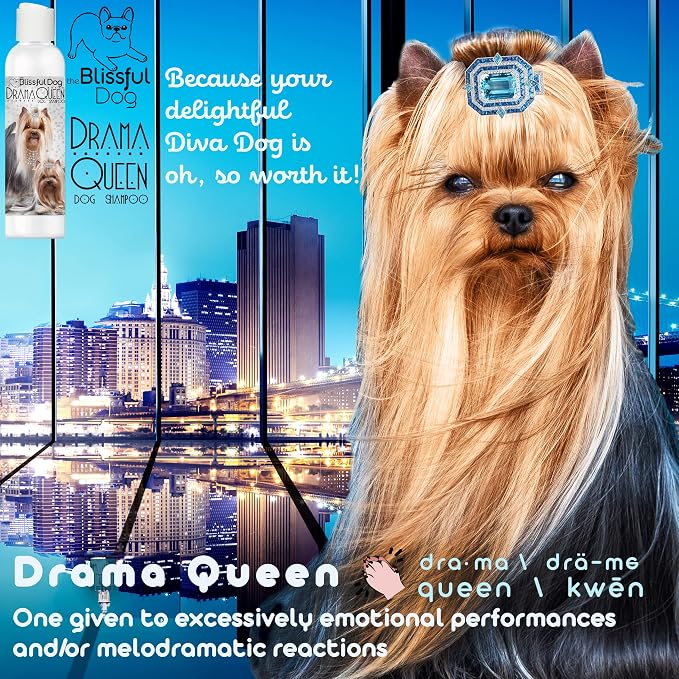 The Blissful Dog Weimaraner Drama Queen Dog Shampoo, 4 oz.