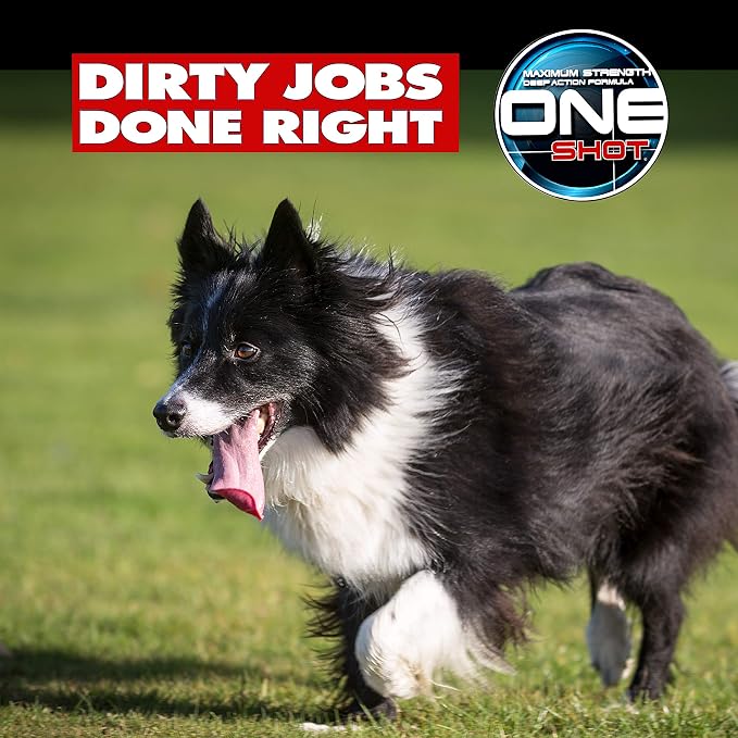 Best Shot ONE Shot Dry Clean Spray, Waterless Pet Grooming Spray for Pets, Alcohol-Free Formula, Safe for Any Dog, Cat, and Horse, 32 Oz.