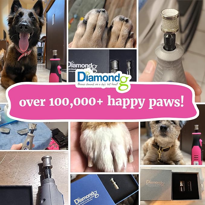 Diamondg Dog Nail Grinder Bits, 2 Pack - Compatible with Dremel, Diamond Bits for Pet Nails, Ideal for Small and Large Dogs (Standard Little Lola & Standard Big Casey)