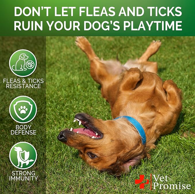 Flea and Tick Prevention for Dogs Chewables - All Natural Flea & Tick Control Chews - Oral Pills for Dogs Supplement - All Breeds and Ages - Made in USA - 120 Tablets