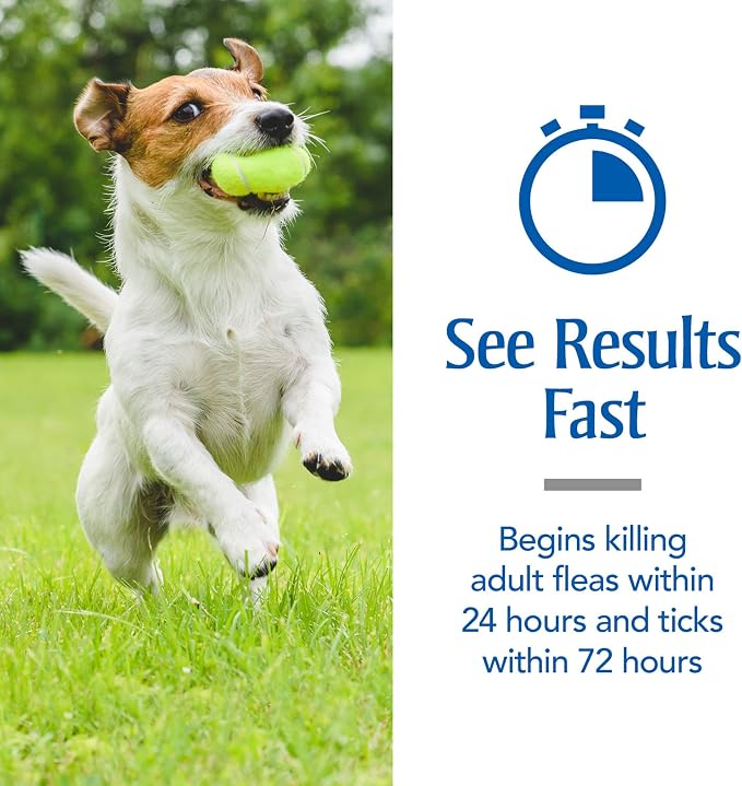 PetArmor for Dogs, Flea and Tick Treatment for Large Dogs (45-88 Pounds), Includes 3 Month Supply of Topical Flea Treatments