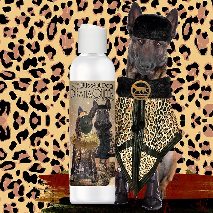 The Blissful Dog Belgian Malinois Drama Queen Shampoo, 4 oz.
