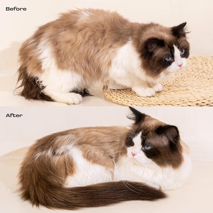 Cat Concentrated Waterless Rinse-Free Shampoo & Conditioner – DIY Dry Shampoo Spray or Towel Cleanse for Cats - Sensitive Skin, Stress & Itch Relief – 98.65% Naturally Derived