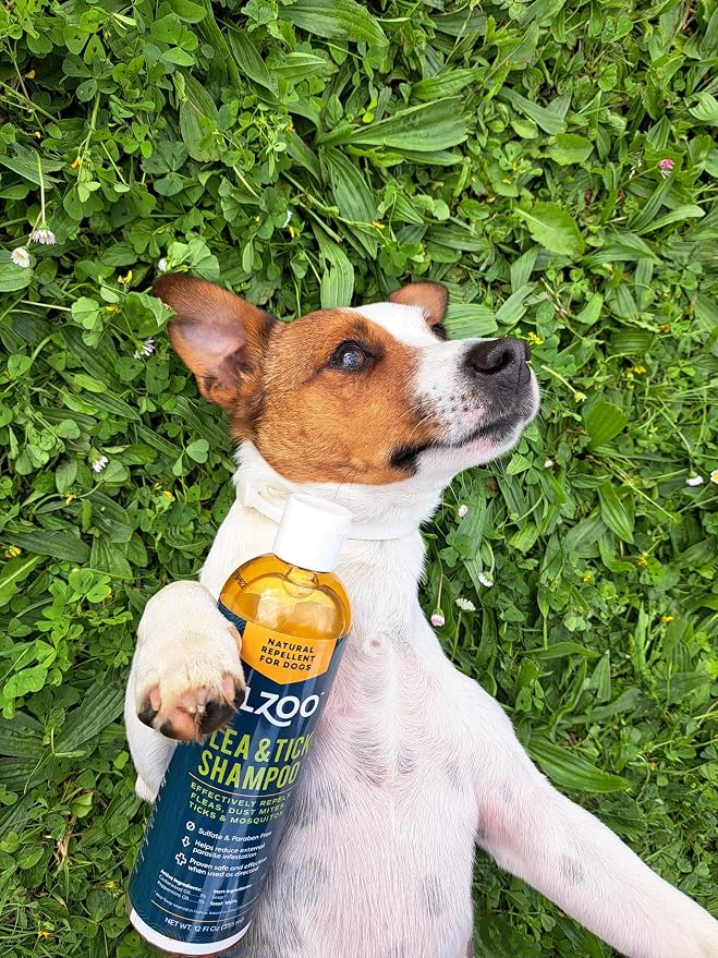 ALZOO Natural Flea and Tick Repellent Shampoo for Dogs, Effectively Repels Fleas, Ticks & Mosquitos, Plant-Based Active Ingredients, Sulfate & Paraben-Free, 12 Fl. Oz. (Pack of 2)