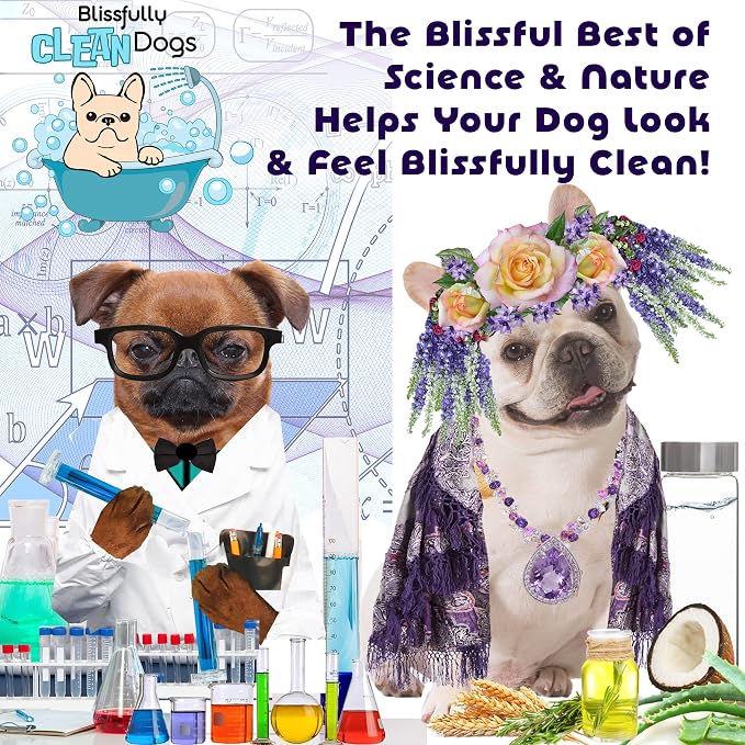 The Blissful Dog Shetland Sheepdog Drama Queen Shampoo, 16 oz.