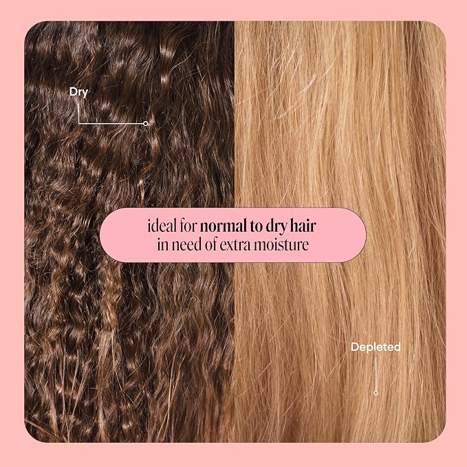 MONDAY HAIRCARE Moisture Shampoo + Conditioner Set for Dry, Coarse, Stressed, Frizzy Hair, Made with Coconut Oil, Rice Protein, Shea Butter and Vitamin E, All Natural, 12 fl oz (Pack of 2)