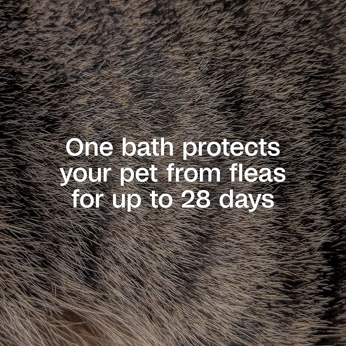 ADAMS Plus Flea & Tick Shampoo with Precor for Dogs, Cats, Puppies & Kittens, Flea Shampoo to Treat Infestations, Kills Ticks, Fleas, Flea Eggs & Lice, Cleans and Conditions Coat, 1 Gallon